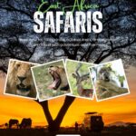 East Africa Safaris