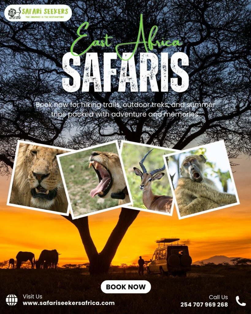 East Africa Safaris