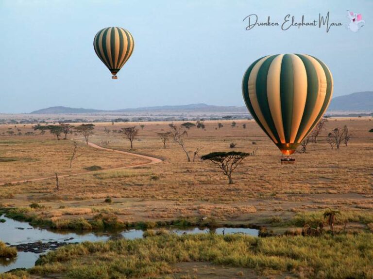 Hot Air Balloon Masai Mara
