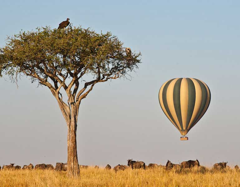 Hot Air Balloon Masai Mara
