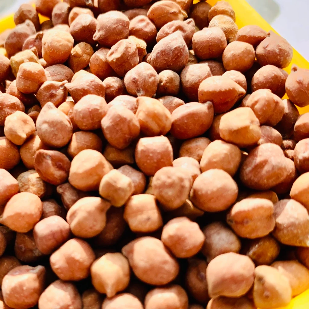 Premium Pulses Exporter India