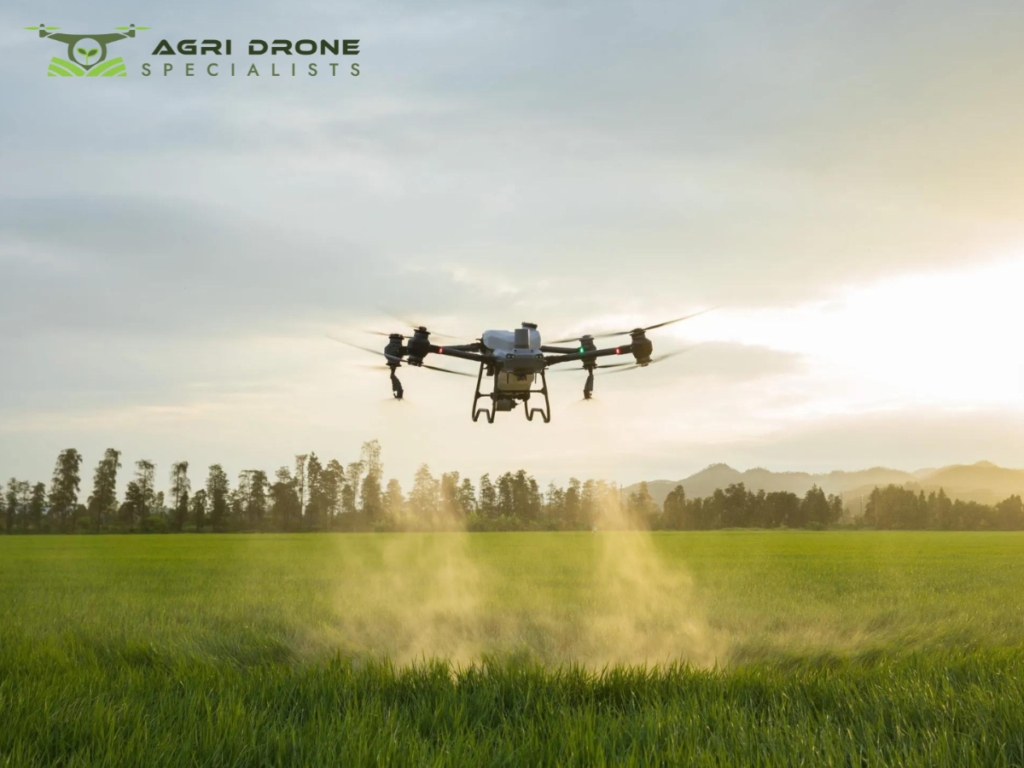 Spraying Drone Services
