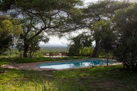 Africa Safari Trips

