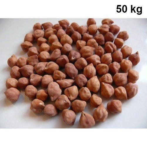 Premium Pulses Exporter India