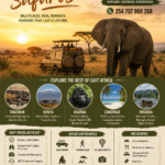 East Africa Safari Adventures Compared with Southern African Wildlife Experiences
