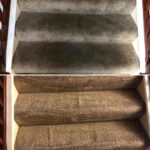 Carpet Cleaning Services