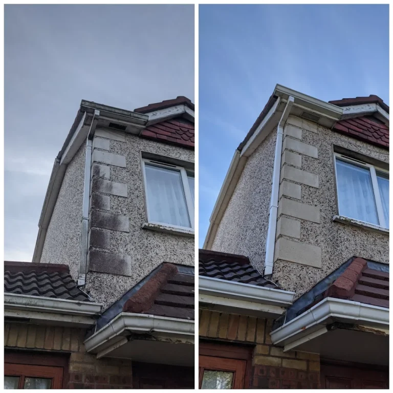 Domestic Exterior Cleaning