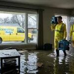 How Expert Hardwood Cleaning Services in Glenview, IL Remove Dirt and Restore Shine